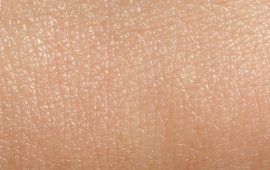 Normal Skin